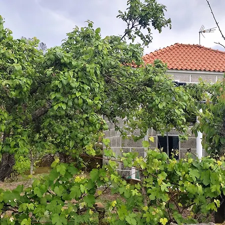 Casa D'os Eiras Dom wakacyjny Aguiar da Beira